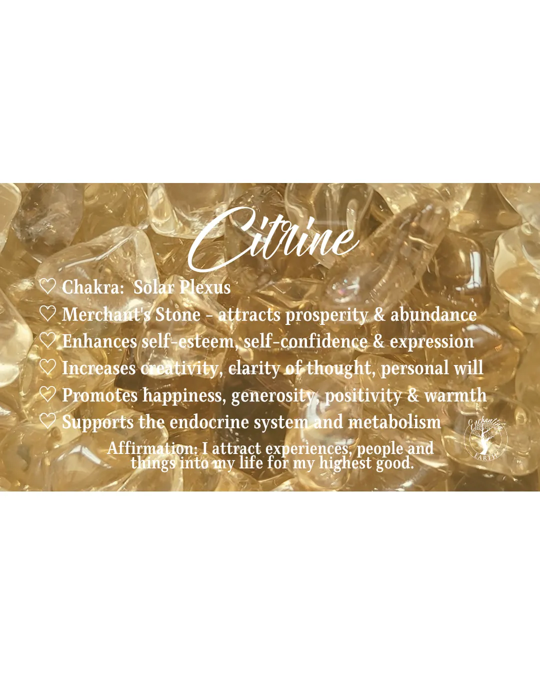 Citrine Pixiu Bracelet for Attracting Abundance