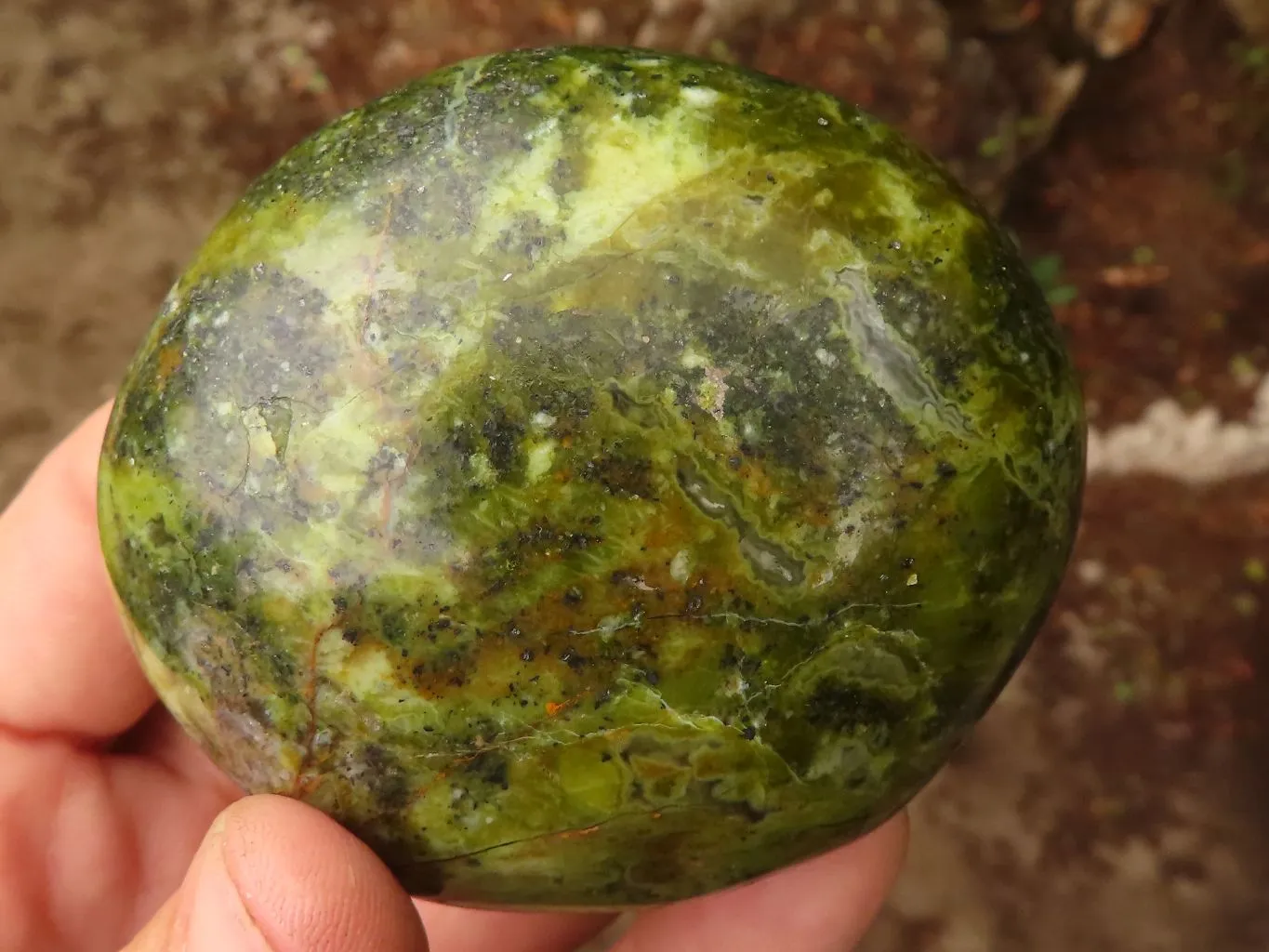 Polished Green Galet / Palm Stones x 6 From Antsirabe, Madagascar
