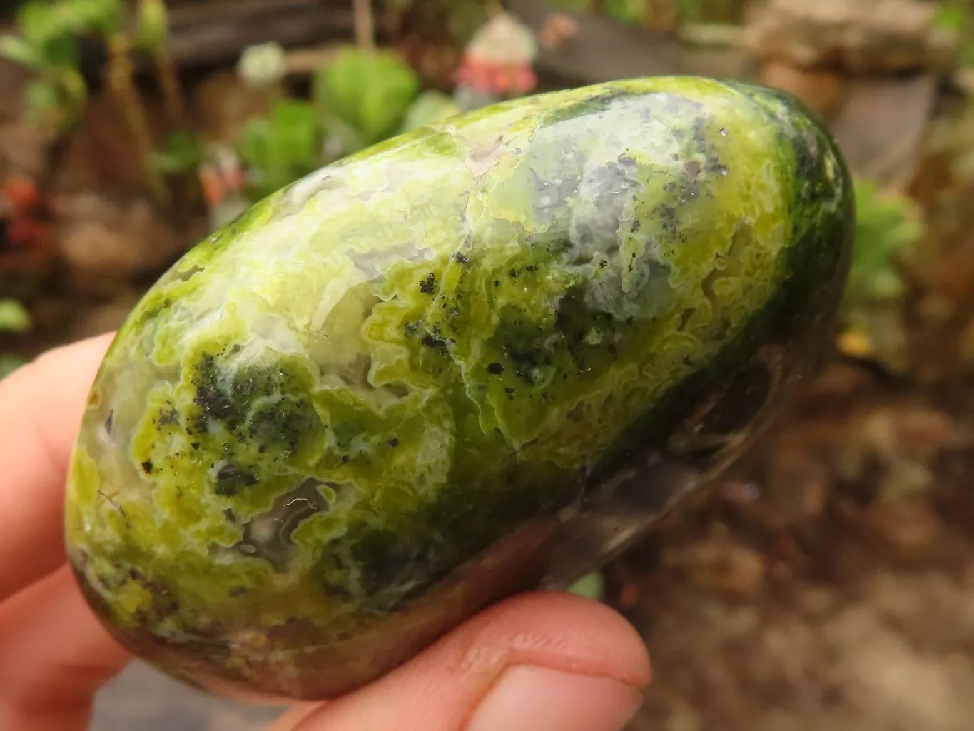 Polished Green Galet / Palm Stones x 6 From Antsirabe, Madagascar